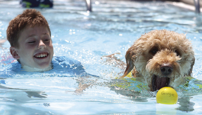 George, a 5-year-old labradoodle, swims with his “sibling” Evan Stobart. They were chasing a tennis ball at Sunday afternoon’s Dog Days of Summer dog swim, held at the Dewey Gunzelman Swimming Pool in Haysville. It was the last event of the season for the pool, although the splash pad will be open for some time. See more photographs on Page B1. Stephanie McKennon/TSnews
