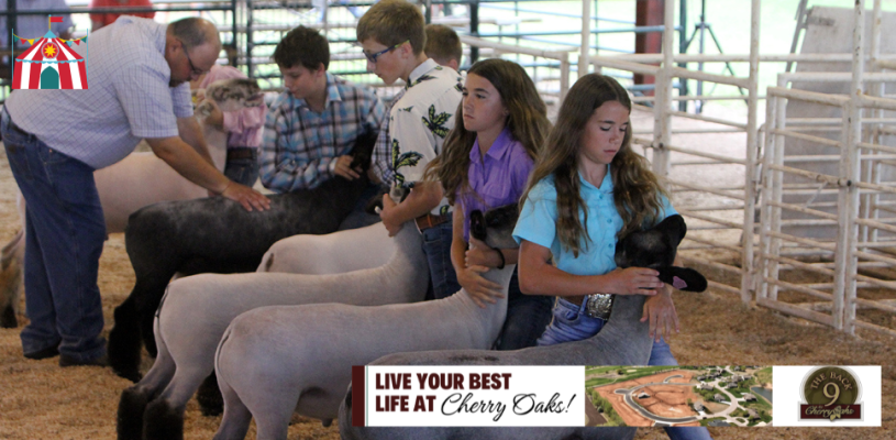 Sedgwick Co Fair 2023 Friday highlights