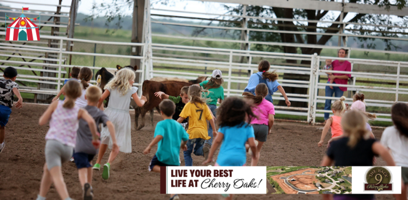 Thursday Highlights Sedgwick Co Fair 2023