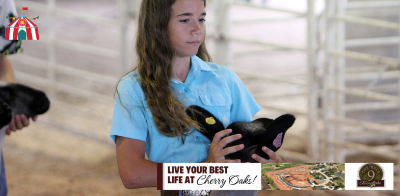 Sedgwick Co Fair 2023 Friday highlights
