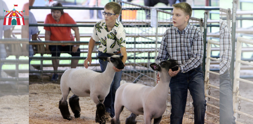 Sedgwick Co Fair 2023 Friday highlights