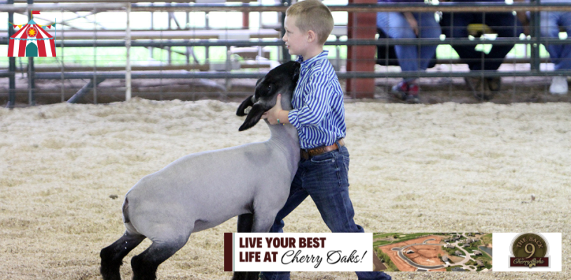 Sedgwick Co Fair 2023 Friday highlights
