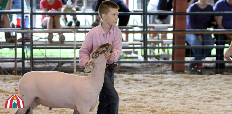 Sedgwick Co Fair 2023 Friday highlights
