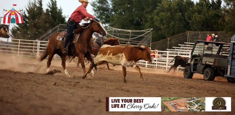 Thursday Highlights Sedgwick Co Fair 2023