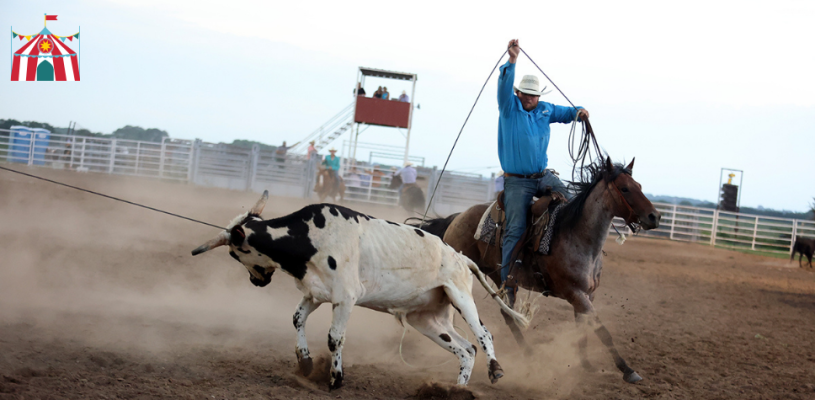 Thursday Highlights Sedgwick Co Fair 2023