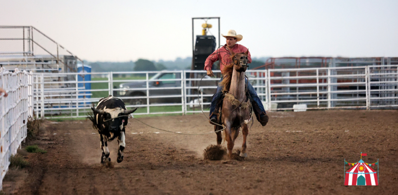 Thursday Highlights Sedgwick Co Fair 2023