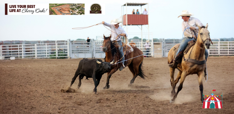 Thursday Highlights Sedgwick Co Fair 2023