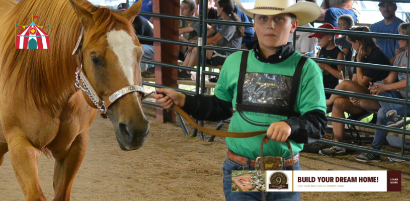 Sedgwick Co Fair 2023 Friday highlights