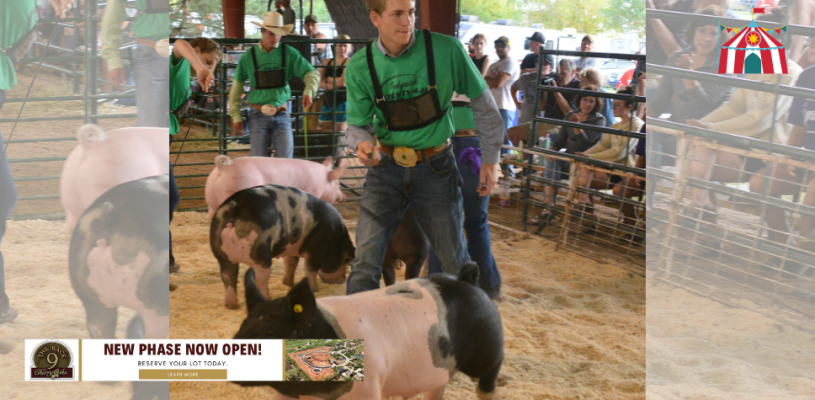 Sedgwick Co Fair 2023 Friday highlights