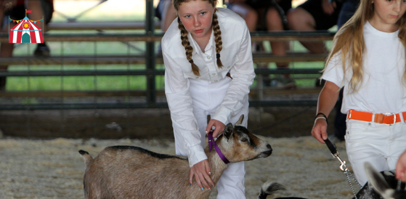 Thursday Highlights Sedgwick Co Fair 2023