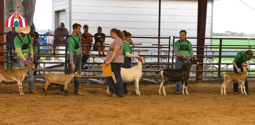 Sedgwick Co Fair 2023 Friday highlights