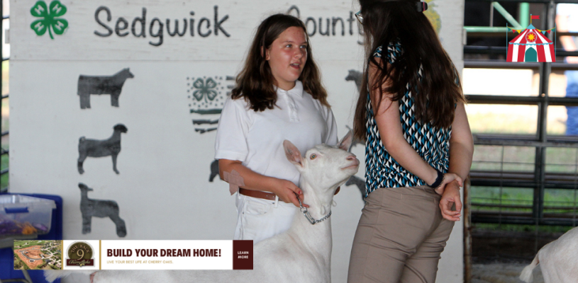 Thursday Highlights Sedgwick Co Fair 2023
