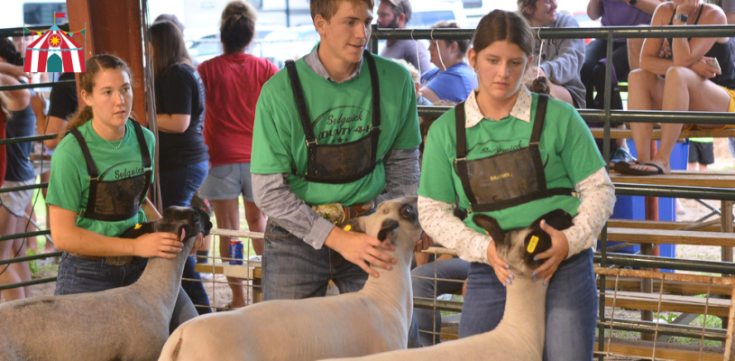 Sedgwick Co Fair 2023 Friday highlights