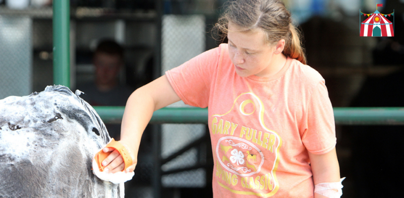 Thursday Highlights Sedgwick Co Fair 2023