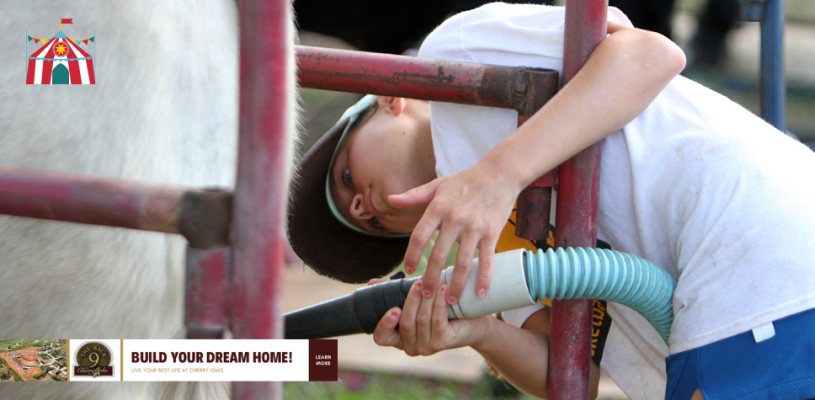 Thursday Highlights Sedgwick Co Fair 2023