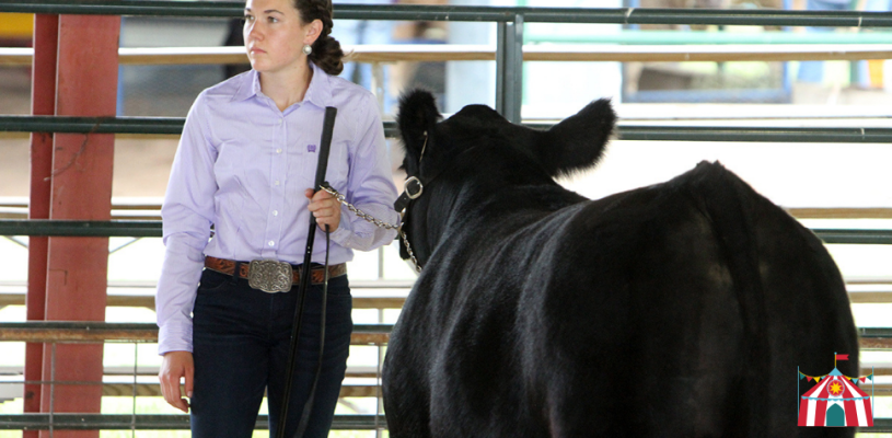 Thursday Highlights Sedgwick Co Fair 2023