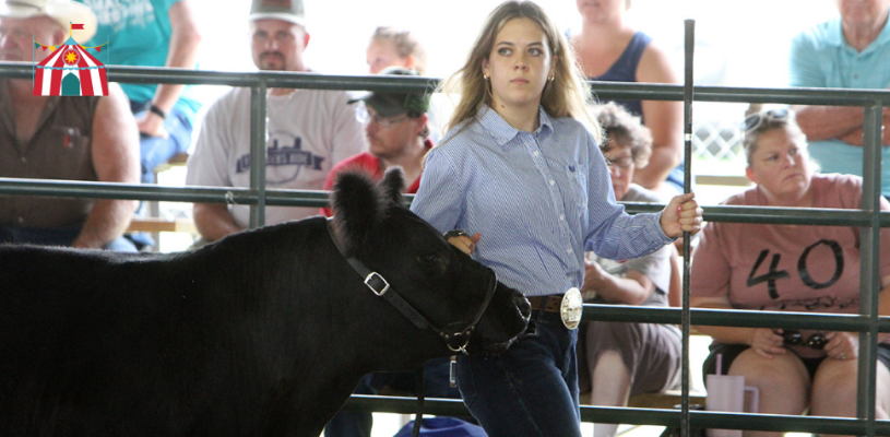 Thursday Highlights Sedgwick Co Fair 2023