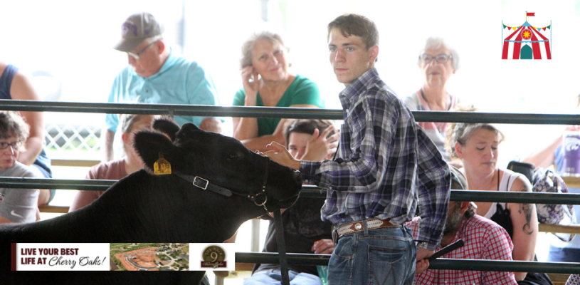 Thursday Highlights Sedgwick Co Fair 2023