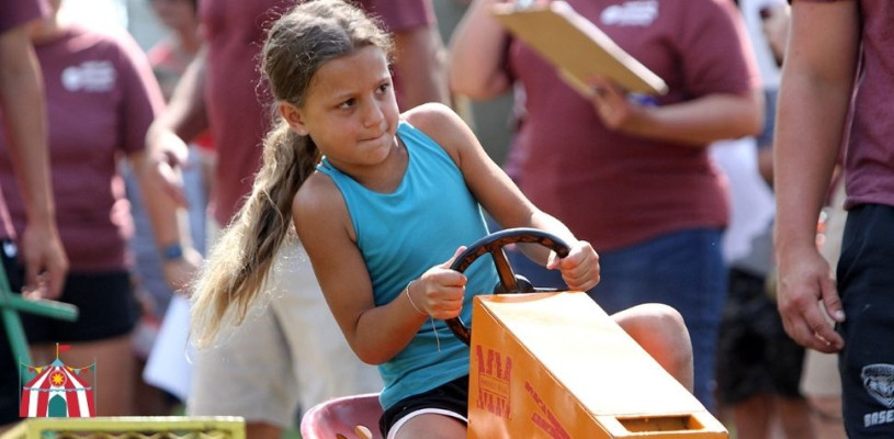 Saturday highlights Sedgwick Co Fair 2023