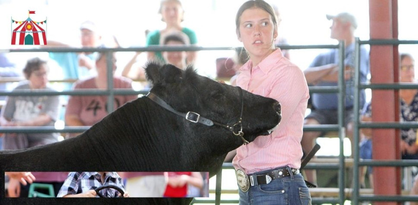 Saturday highlights Sedgwick Co Fair 2023