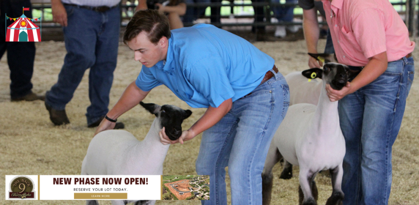 Sedgwick Co Fair 2023 Friday highlights