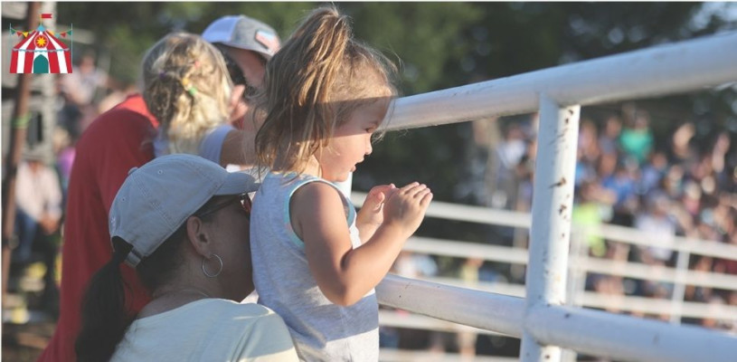 Saturday highlights Sedgwick Co Fair 2023