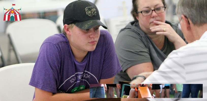 Saturday highlights Sedgwick Co Fair 2023