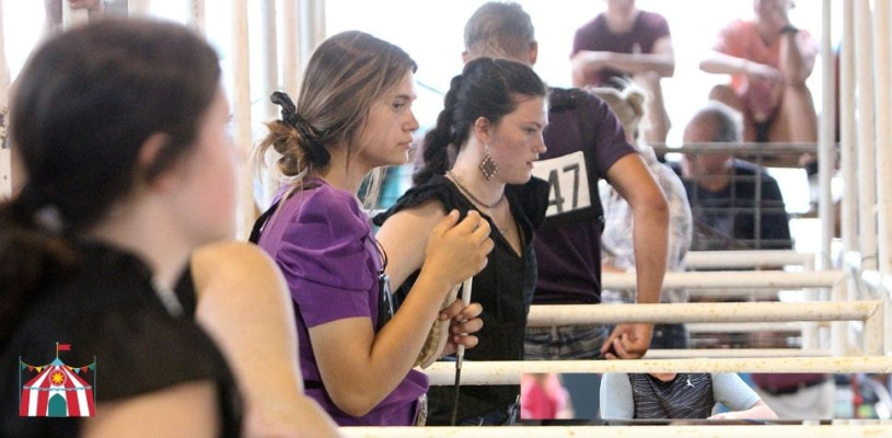 Saturday highlights Sedgwick Co Fair 2023