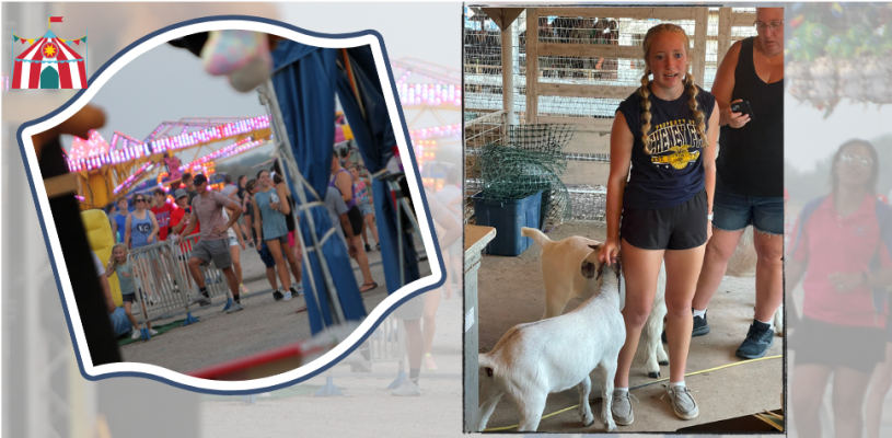 Wednesday Sedgwick Co Fair 2023