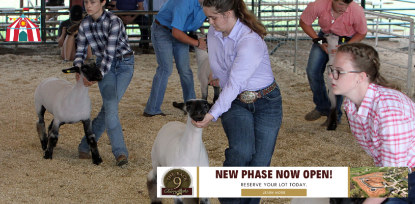 Sedgwick Co Fair 2023 Friday highlights
