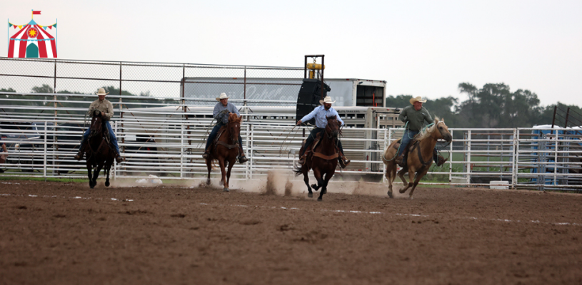 Thursday Highlights Sedgwick Co Fair 2023