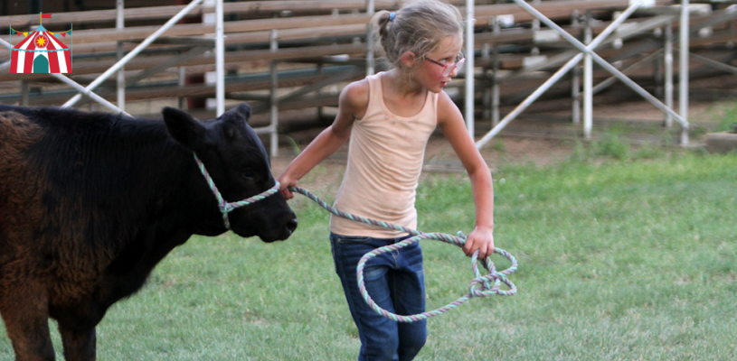 Wednesday Sedgwick Co Fair 2023