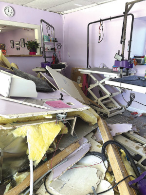 Crash shuts down business