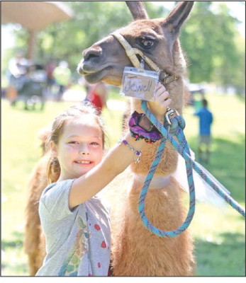 ABOVE: Lyla Spence hangs out with Jewell, an alpaca, at Saturday’s Kids to Parks Day, which was held at Riggs Park in Haysville. The event originally was scheduled for early June but was rescheduled due to weather. ABOVE RIGHT: Decklynn Bickel takes a ride a miniature pony at Kids to Parks Day. RIGHT: A young boy dances among the bubbles at the Riggs Park band shell. Stephanie McKennon/TSnews