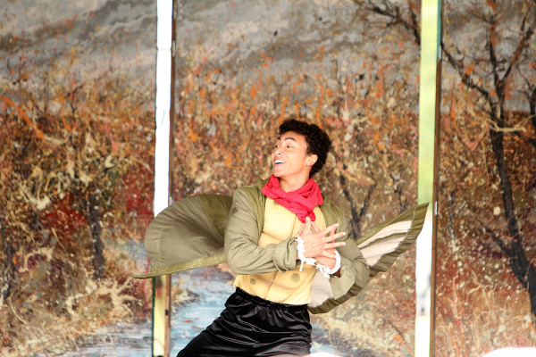 Ballet in the Park