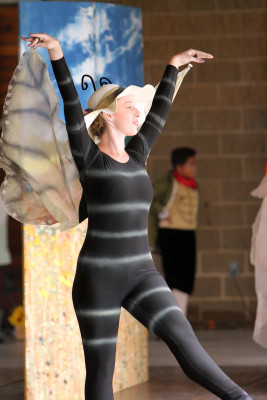 Ballet in the Park