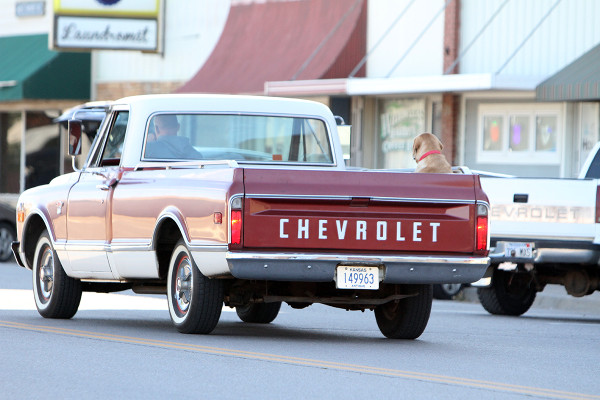 CHENEY CRUISE IN 10.19.23