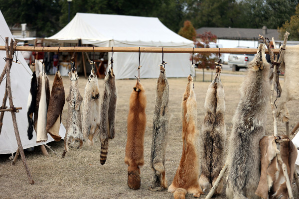 Haysville Living History 11.09.23