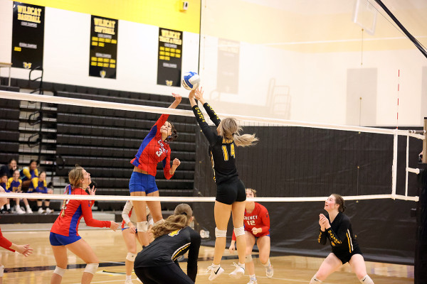 VOLLEYBALL 10.26.23