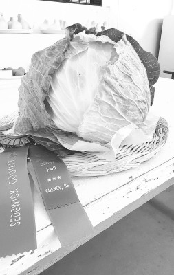Start work now on your Open Class entries for the Sedgwick County Fair.