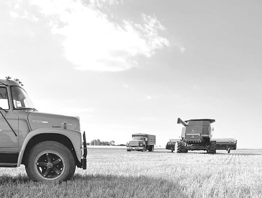 Hurry to harvest