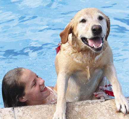 The final day of the summer at the Cheney Swimming Pool included the annual dog swim. Riley, pictured with Tori Rosenhagen, tries to get out of the water after going off the diving board. Travis Mounts/TSnews