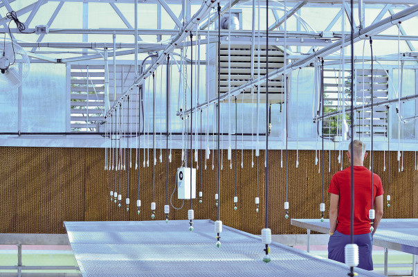 Cheney High School is putting the finishing touches on a brand new greenhouse. Brianna Barnes/TSnews
