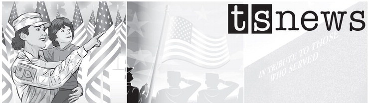 Veterans Day Facts