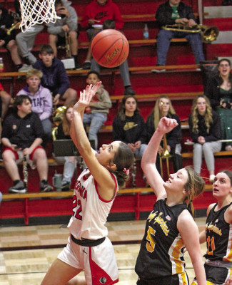 Bailey Haines, an Argonia freshman, drives to the basket during the Raider’s Friday contest against Cedar Vale-Dexter. Stephanie McKennon/TSnews