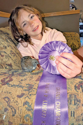 Ninnescah Valley 4-H Club member Kylee Guffey shows off her grand champion ribbon as well as a button quail. Her quail entry was a first at the Fair. Contributed photo