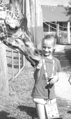 A young girls feeds a giraffe at Tanganyika Wildlife Park. The Goddard park was named one of the best animal experiences in the country in the Newsweek Readers’ Choice Awards. Contributed photo