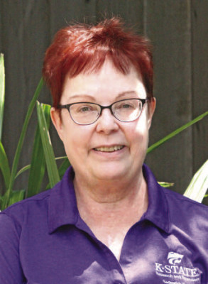Jodi Besthorn