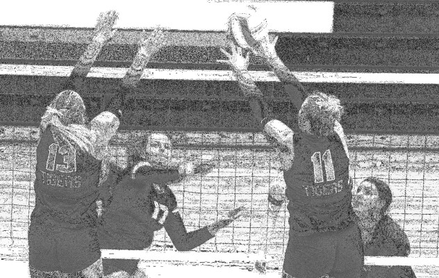 Area teams tip off volleyball season