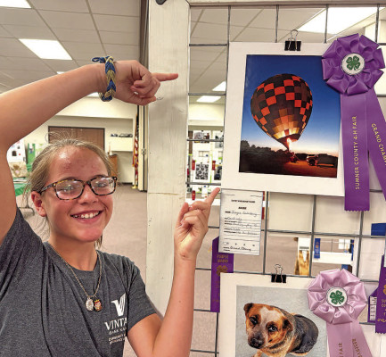 At the Sumner County 4-H Fair, Joyce Salisbury won grand champion for her photograph. Salisbury is 11 years old and from Conway Springs. Contributed photograph